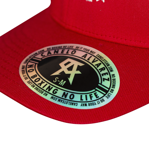 NGNL FE Red Fitted Hat