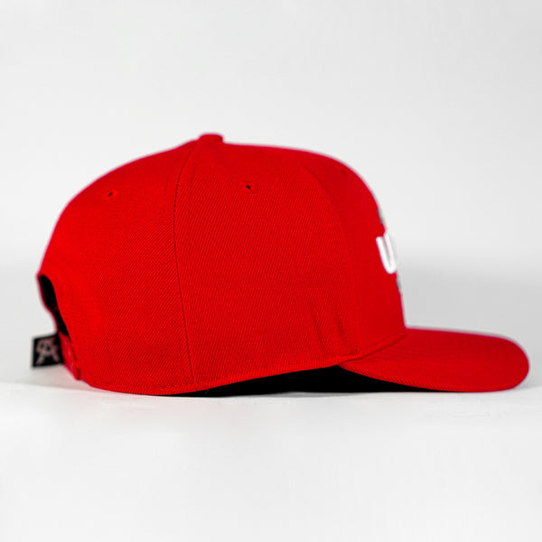 Boxing Moves Snapback